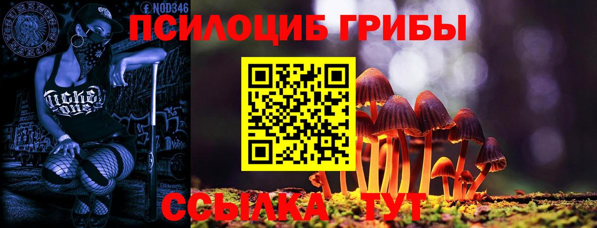Галлюциногенные грибы прущие грибы Алексин