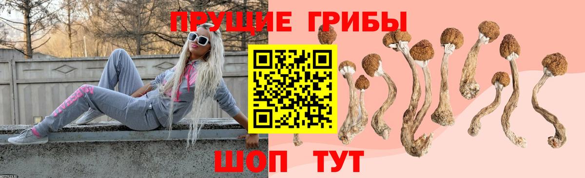 Псилоцибиновые грибы Psilocybine cubensis  Вход с VPN  Алексин 